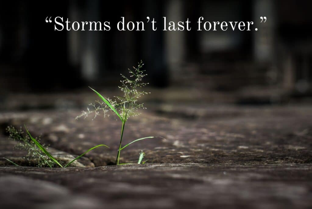 Life Lessons About Strength & Resilience