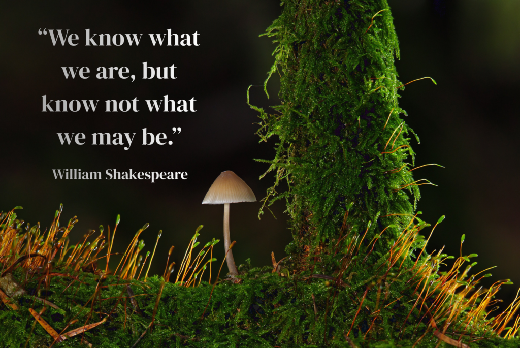 Famous Author Inspirational Quotes