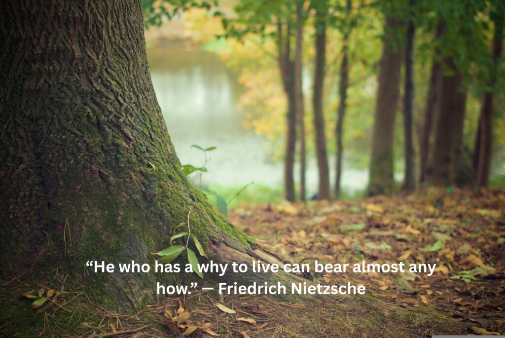 Healing Quotes for Emotional Strength (Friedrich Nietzsche)