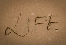 15 Peace of Mind Quotes for a Stress-Free Life 2026 15 Peace of Mind Quotes for a Stress-Free Life 2026
