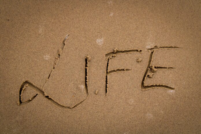 15 Peace of Mind Quotes for a Stress-Free Life 2026
