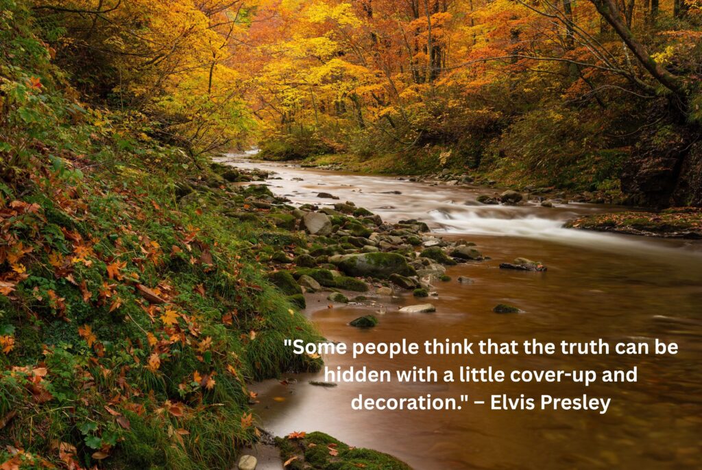 "Some people think that the truth can be hidden with a little cover-up and decoration." – Elvis Presley