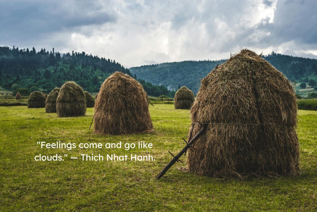 Feelings come and go like clouds. ― Thich Nhat Hanh.