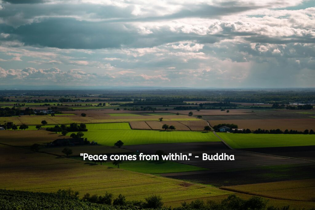 Peace comes from within. - Buddha