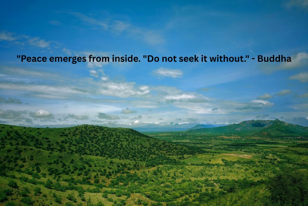 15 Peace of Mind Quotes for a Stress-Free Life