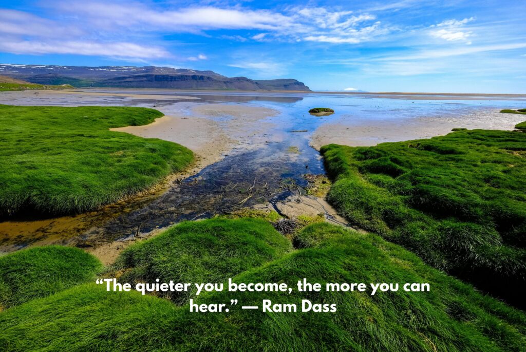 Silent Attitude Quotes