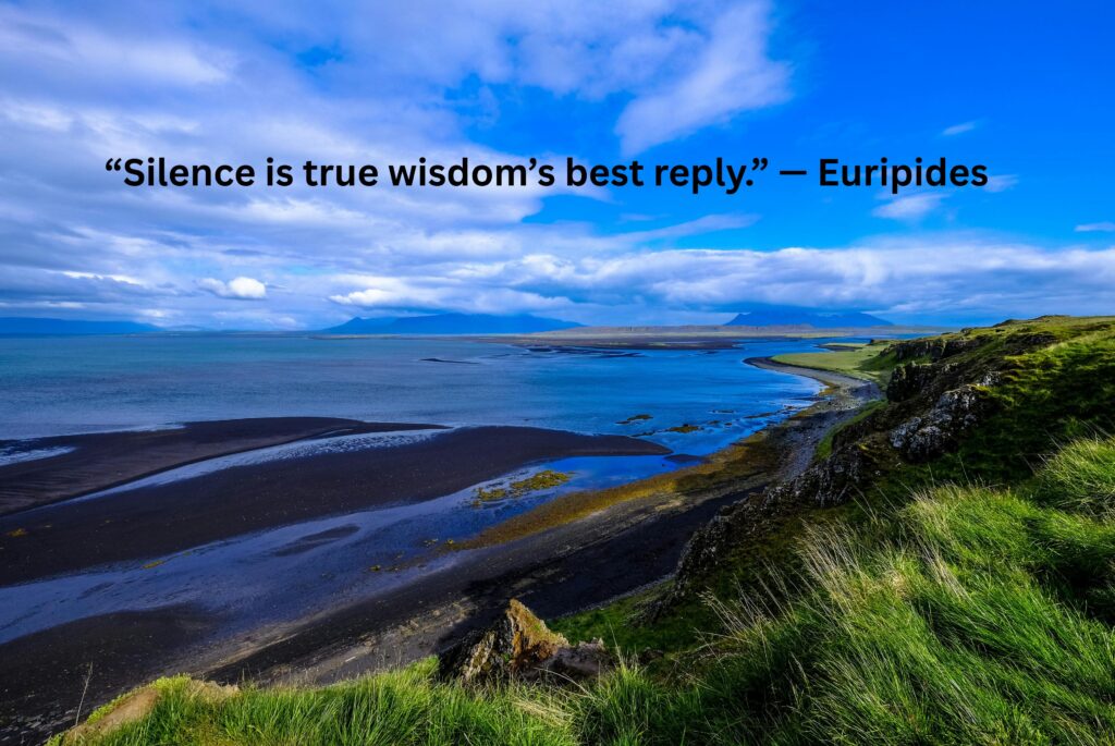 Silent Attitude Quotes