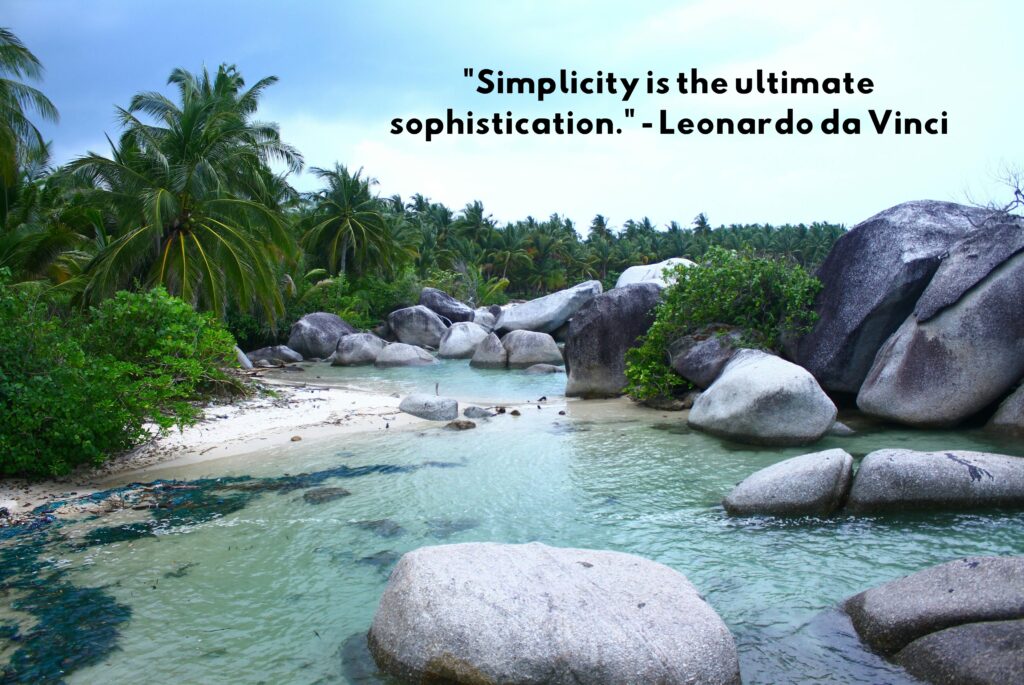 Simplicity is the ultimate sophistication. - Leonardo da Vinci