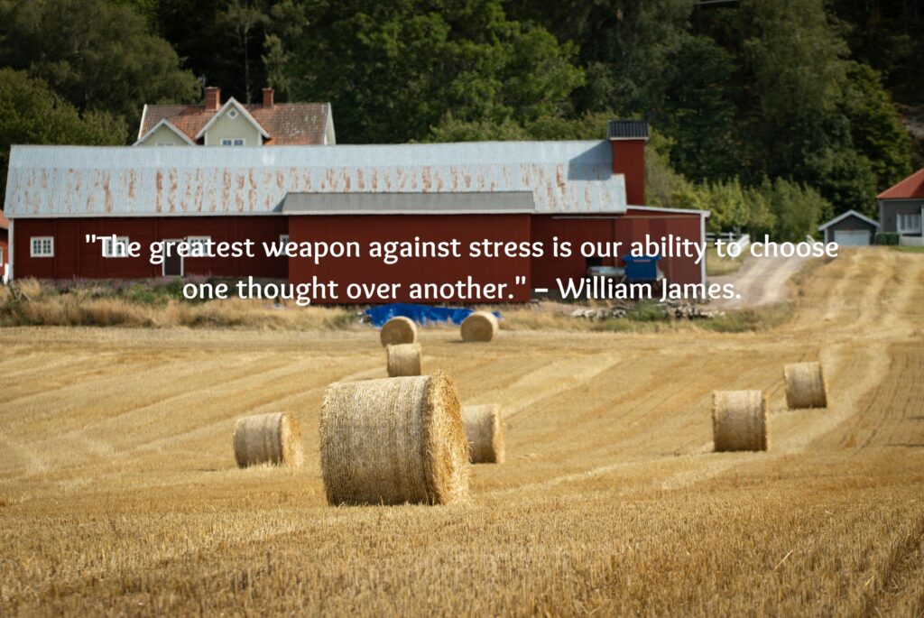 The greatest weapon against stress is our ability to choose one thought over another. – William James.
