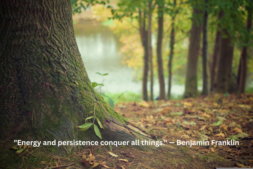 Trust the Process Quotes to Stay Patient and Keep Growing (2026)