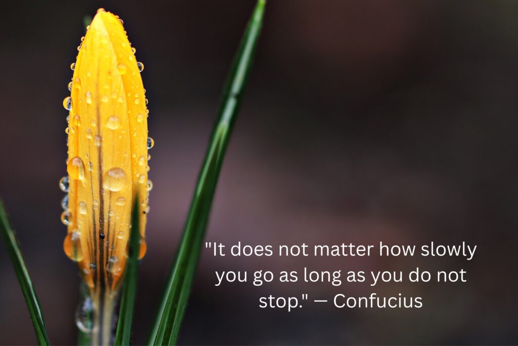 Trust the Process Quotes to Stay Patient and Keep Growing (2026)