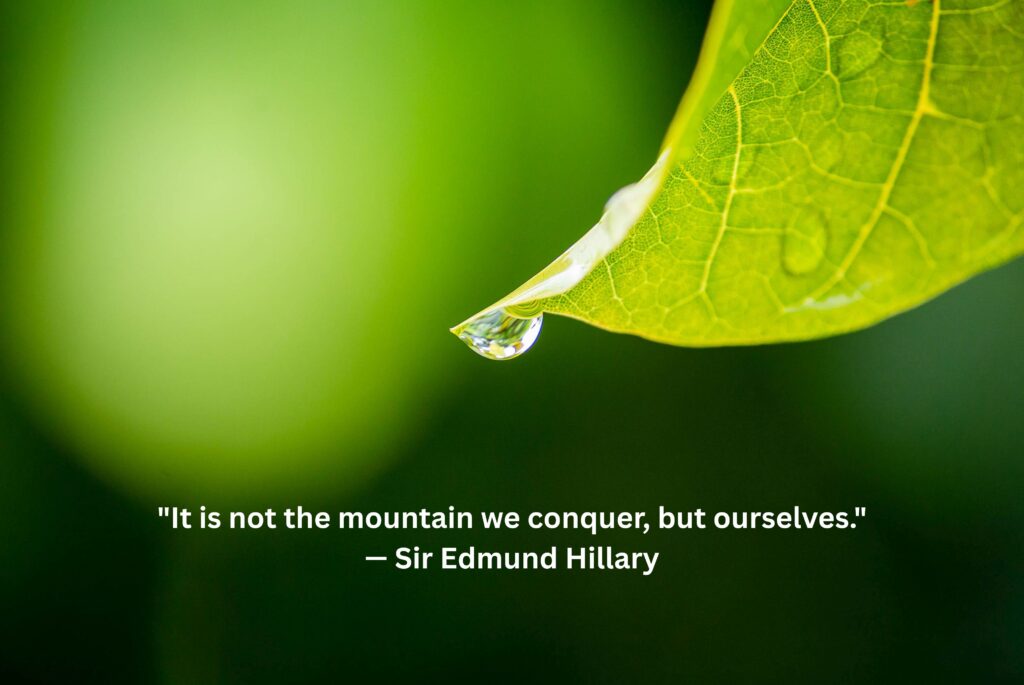 Silent Confidence Quotes That Speak Louder Than Words