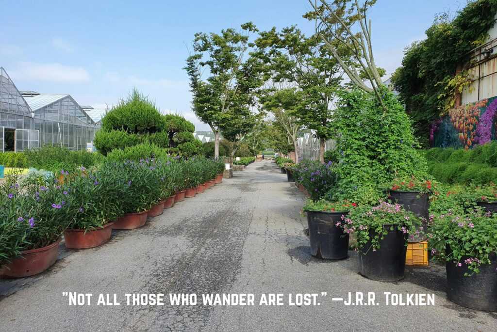 Feeling Lost in Life Quotes to Find Direction