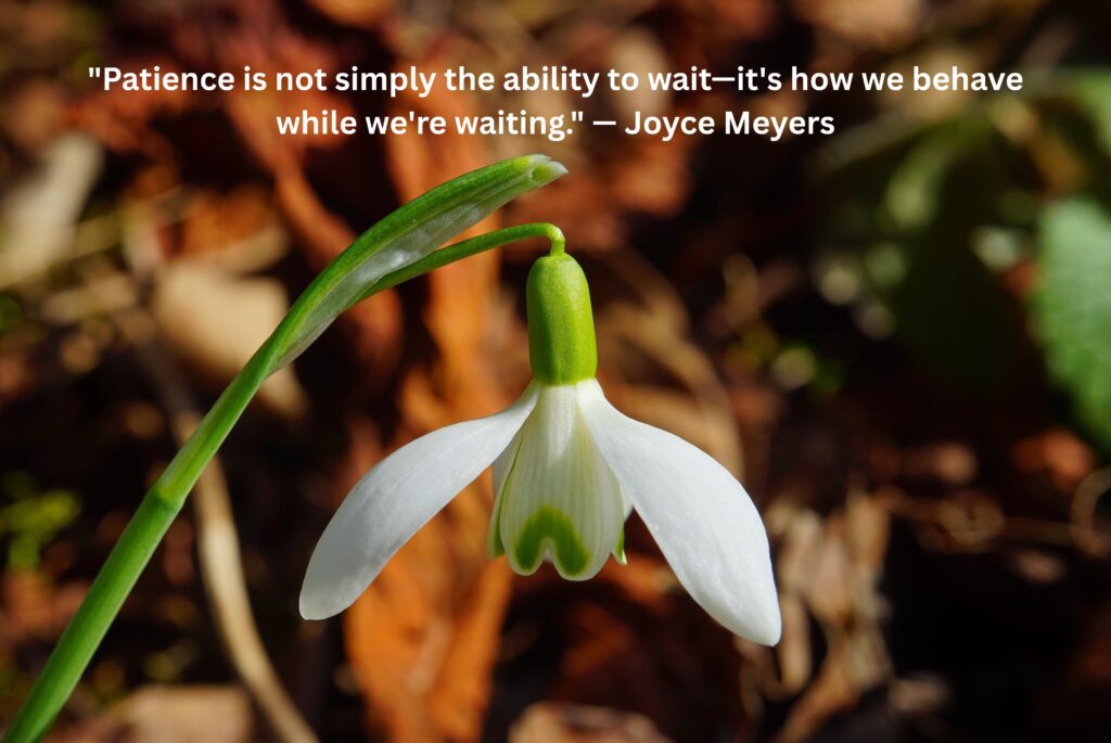 Trust the Process Quotes to Stay Patient and Keep Growing (2026)