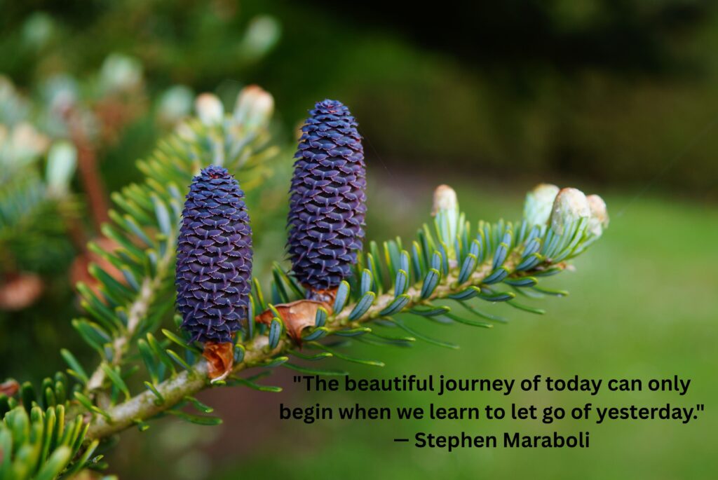 Moving On Without Closure Quotes for Peace & Healing