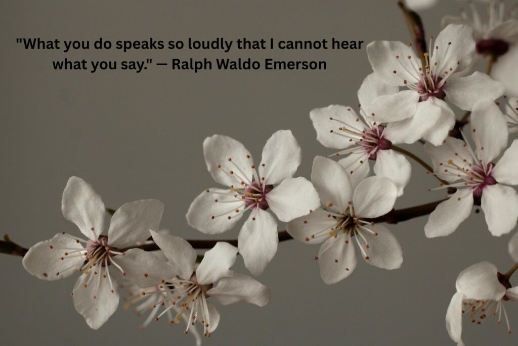 Silent Confidence Quotes That Speak Louder Than Words